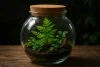 Mini terrarium: alles wat je moet weten over deze groene trend